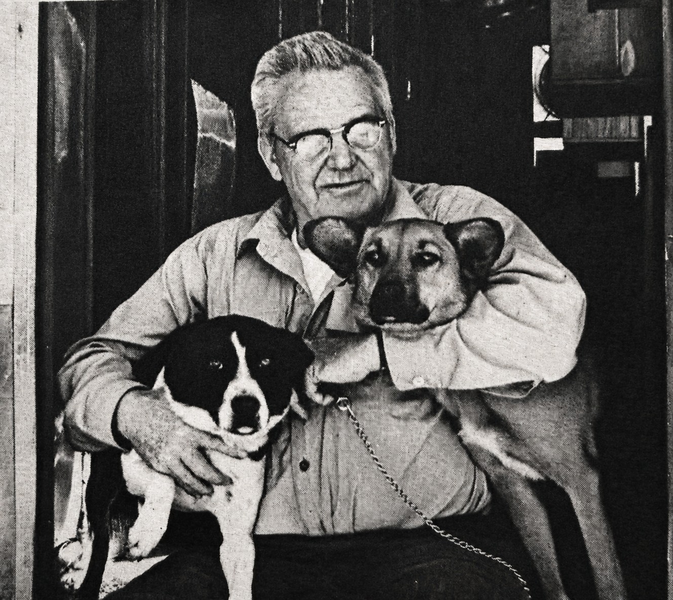ed lambert